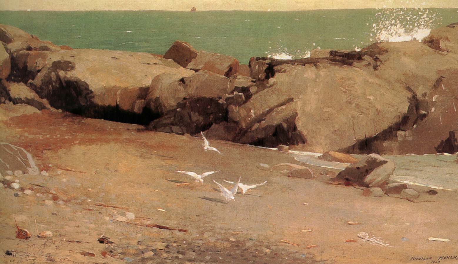 Rocky shore and the seagulls